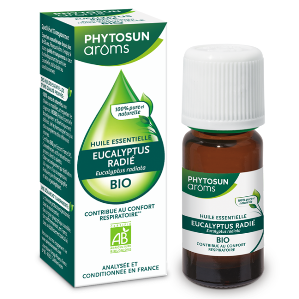 Eucalyptus radié bio